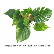 Aquascaper Aquarium Plant Lemna Valdiviana Small